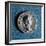 Coin Bearing Image of Emperor Hadrian, Roman Coins AD-null-Framed Giclee Print