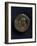 Coin Bearing Image of Emperor Nero, Roman Coins Ad-null-Framed Giclee Print