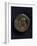 Coin Bearing Image of Emperor Nero, Roman Coins Ad-null-Framed Giclee Print