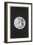 Coin Bearing the Head of Alexander the Great with the Horns of the Egyptian God Amun-null-Framed Giclee Print