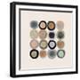 Coin Collection II-Victoria Barnes-Framed Art Print