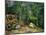 Coin De Foret (Oil on Canvas)-Gustave Courbet-Mounted Giclee Print