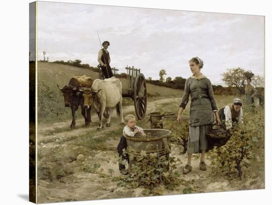 Coin de vigne, Languedoc-Edouard Debat-Ponsan-Stretched Canvas