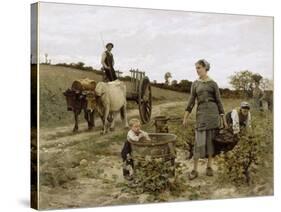 Coin de vigne, Languedoc-Edouard Debat-Ponsan-Stretched Canvas