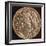 Coin of Ptolemy I and Berenice I, Ptolemaic Kingdom of Egypt, 3rd Century Bc-null-Framed Photographic Print