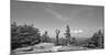 Coin operated binoculars on Grandfather Mountain, Grandfather Mountain State Park, Linville, Nor...-Panoramic Images-Mounted Photographic Print