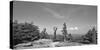 Coin operated binoculars on Grandfather Mountain, Grandfather Mountain State Park, Linville, Nor...-Panoramic Images-Stretched Canvas