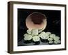 Coins Discovered in 1927 in Surroundings of Civitavecchia-null-Framed Giclee Print