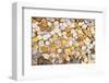 Coins Dollar Money Treasure-null-Framed Art Print