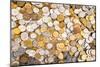 Coins Dollar Money Treasure-null-Mounted Art Print