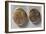 Coins from Time of Vercingetorix, Roman Coins BC-null-Framed Giclee Print