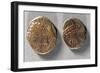 Coins from Time of Vercingetorix, Roman Coins BC-null-Framed Giclee Print