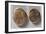 Coins from Time of Vercingetorix, Roman Coins BC-null-Framed Giclee Print