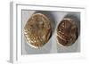 Coins from Time of Vercingetorix. Roman Coins BC-null-Framed Giclee Print