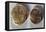 Coins from Time of Vercingetorix. Roman Coins BC-null-Framed Stretched Canvas