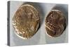 Coins from Time of Vercingetorix. Roman Coins BC-null-Stretched Canvas