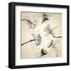 Coircle of Daffodils-Judy Stalus-Framed Art Print