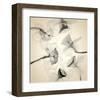 Coircle of Daffodils-Judy Stalus-Framed Art Print