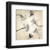 Coircle of Daffodils-Judy Stalus-Framed Art Print