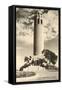 Coit Memorial Tower, San Francisco, California-null-Framed Stretched Canvas