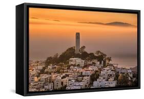 Coit Tower and Golden Fog Flow, San Francisco, Cityscape, Urban View-Vincent James-Framed Stretched Canvas