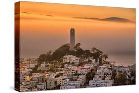 Coit Tower and Golden Fog Flow, San Francisco, Cityscape, Urban View-Vincent James-Stretched Canvas