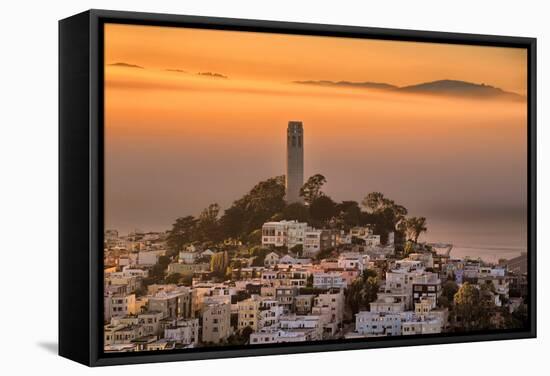 Coit Tower and Golden Fog Flow, San Francisco, Cityscape, Urban View-Vincent James-Framed Stretched Canvas