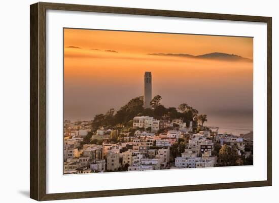 Coit Tower and Golden Fog Flow, San Francisco, Cityscape, Urban View-Vincent James-Framed Photographic Print