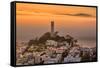 Coit Tower and Golden Fog Flow, San Francisco, Cityscape, Urban View-Vincent James-Framed Stretched Canvas