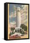 Coit Tower, Telegraph Hill, San Francisco, California-null-Framed Stretched Canvas