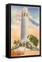 Coit Tower, Telegraph Hill, San Francisco, California-null-Framed Stretched Canvas
