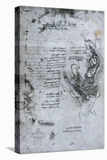 Coition of Hemisected Man and Woman, Facsimile Copy-Leonardo da Vinci-Stretched Canvas