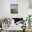 Cojines Plants Below Cerro De Ritacuba, 5230M, El Cocuy National Park, Colombia, South America-Christian Kober-Framed Stretched Canvas displayed on a wall