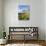 Cojines Plants Below Cerro De Ritacuba, 5230M, El Cocuy National Park, Colombia, South America-Christian Kober-Stretched Canvas displayed on a wall