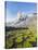 Cojines Plants Below Cerro De Ritacuba, 5230M, El Cocuy National Park, Colombia, South America-Christian Kober-Stretched Canvas