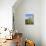 Cojines Plants Below Cerro De Ritacuba, 5230M, El Cocuy National Park, Colombia, South America-Christian Kober-Photographic Print displayed on a wall