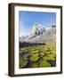 Cojines Plants Below Cerro De Ritacuba, 5230M, El Cocuy National Park, Colombia, South America-Christian Kober-Framed Photographic Print