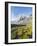 Cojines Plants Below Cerro De Ritacuba, 5230M, El Cocuy National Park, Colombia, South America-Christian Kober-Framed Photographic Print