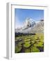 Cojines Plants Below Cerro De Ritacuba, 5230M, El Cocuy National Park, Colombia, South America-Christian Kober-Framed Photographic Print