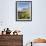 Cojines Plants Below Cerro De Ritacuba, 5230M, El Cocuy National Park, Colombia, South America-Christian Kober-Framed Photographic Print displayed on a wall