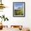 Cojines Plants Below Cerro De Ritacuba, 5230M, El Cocuy National Park, Colombia, South America-Christian Kober-Framed Photographic Print displayed on a wall