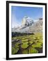 Cojines Plants Below Cerro De Ritacuba, 5230M, El Cocuy National Park, Colombia, South America-Christian Kober-Framed Photographic Print