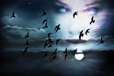 Sky, Birds, Full Moon and Woman Face, Composed from Two Images