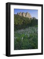 Col de Bavella, Corse-du-Sud, Corsica, France-null-Framed Art Print