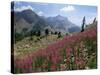 Col De La Cayolle, Near Barcelonnette, Hautes-Alpes, Provence, France-David Hughes-Stretched Canvas