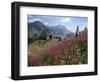 Col De La Cayolle, Near Barcelonnette, Hautes-Alpes, Provence, France-David Hughes-Framed Photographic Print