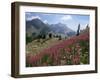 Col De La Cayolle, Near Barcelonnette, Hautes-Alpes, Provence, France-David Hughes-Framed Photographic Print