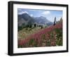 Col De La Cayolle, Near Barcelonnette, Hautes-Alpes, Provence, France-David Hughes-Framed Photographic Print