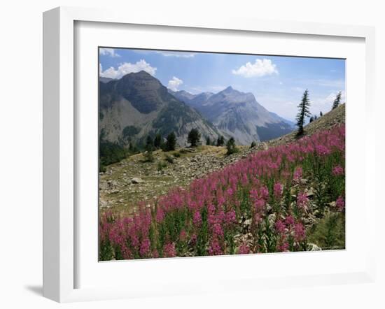 Col De La Cayolle, Near Barcelonnette, Hautes-Alpes, Provence, France-David Hughes-Framed Photographic Print