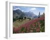 Col De La Cayolle, Near Barcelonnette, Hautes-Alpes, Provence, France-David Hughes-Framed Photographic Print